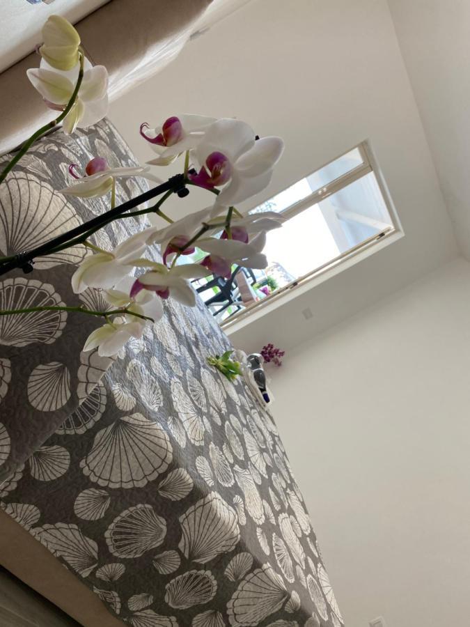 Mazzitelli Apartment Capo Vaticano Eksteriør bilde
